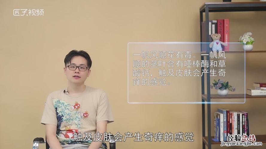 一帆风顺有毒吗