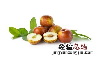 枣树的冬剪方法 枣树的冬剪方法介绍