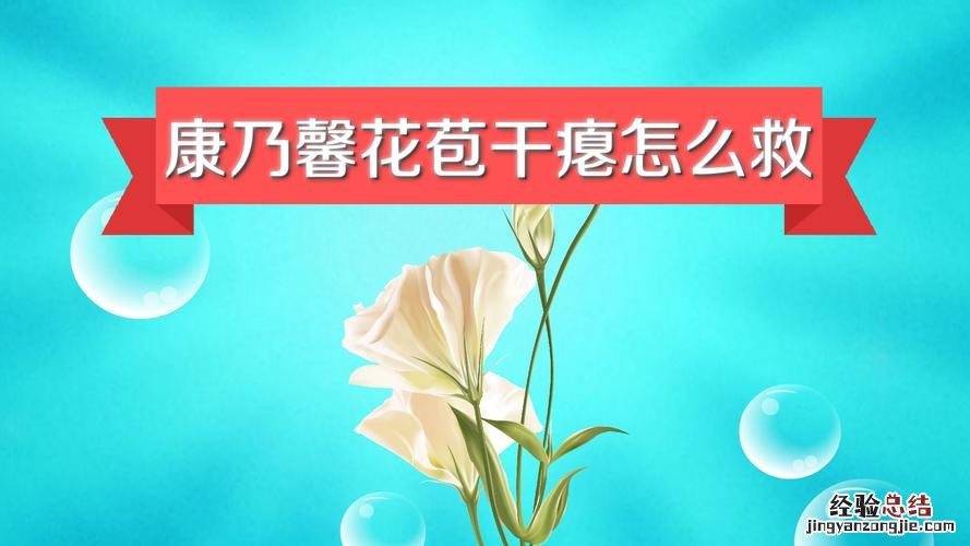 康乃馨怎么浇水?