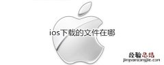 ios下载的文件在哪