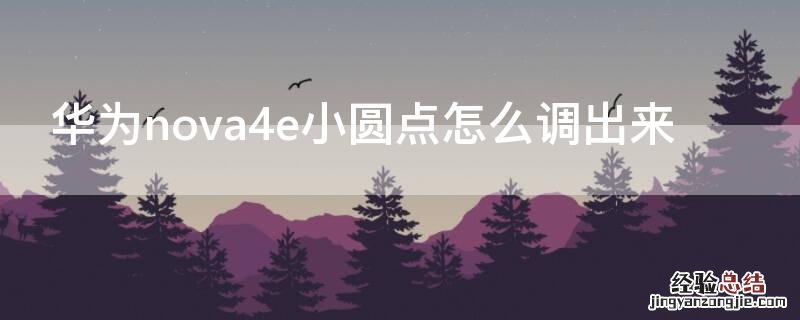 华为nova4e小圆点怎么调出来