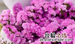 勿忘我鲜花如何变成干花 勿忘我鲜花怎么变干花