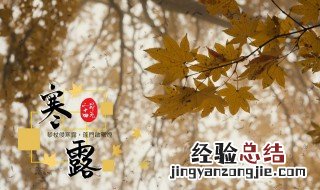 寒露节气什么意思 寒露节气是哪天