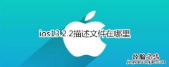 ios13.2.2描述文件在哪里