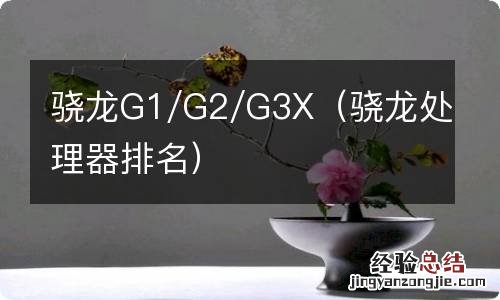 骁龙处理器排名 骁龙G1/G2/G3X