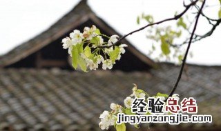 清明节可以出去玩吗 清明节可以出去玩吗?