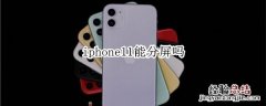 iphone11能分屏吗