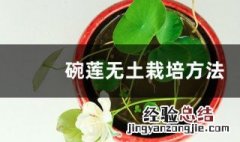 碗莲的无土种植方法 碗莲无土栽培方法介绍