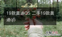 19款奥迪Q5 二手19款奥迪q5