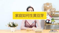 黄豆芽怎么种