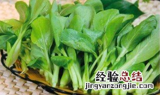 鸡毛菜的种植方法 鸡毛菜如何种植