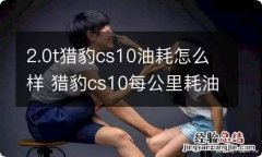 2.0t猎豹cs10油耗怎么样 猎豹cs10每公里耗油多少钱2.0排量