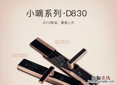 德施曼D830指纹锁怎么样