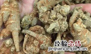 怎么选好的田七