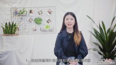 杨梅汁沾到衣服上怎么清洗