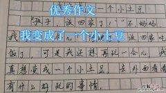 我变成了什么什么作文