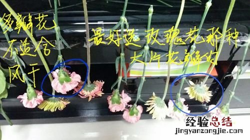 康乃馨干花制作方法