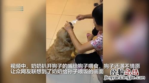 投食和投喂的区别