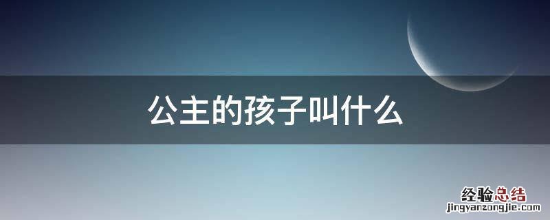 公主的孩子叫什么