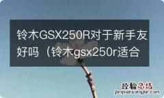 铃木gsx250r适合新手吗 铃木GSX250R对于新手友好吗