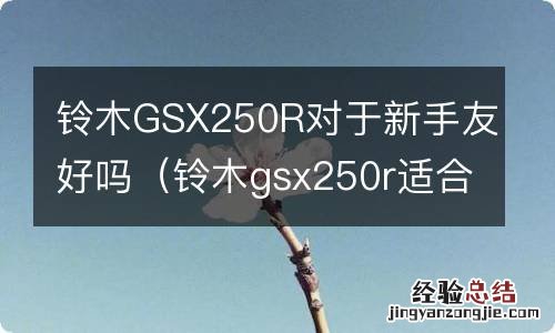 铃木gsx250r适合新手吗 铃木GSX250R对于新手友好吗