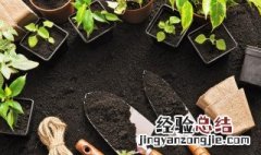 青毛豆壳可以做花肥吗 黄豆壳能做花肥吗