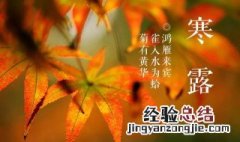 寒露是什么季节的节气 寒露介绍