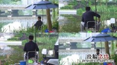 钓鱼技巧之不同季节的雨天如何钓鱼