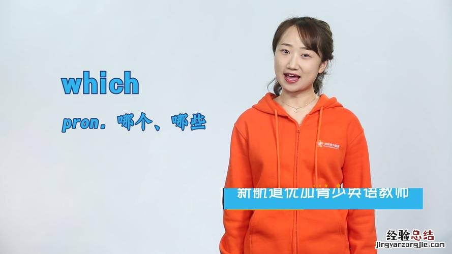 Which 什么意思