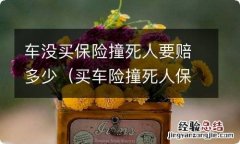 买车险撞死人保险能赔多少 车没买保险撞死人要赔多少