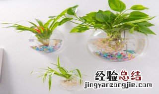 怎么做挂墙花盆 做挂墙花盆的方法