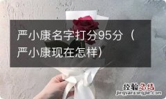 严小康现在怎样 严小康名字打分95分