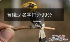 曹曦戈名字打分99分