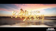 韶华是什么意思