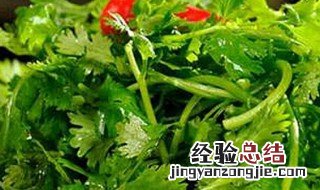 香菜的保存好方法 保存香菜的方法