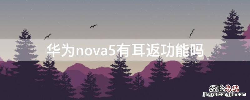 华为nova5有耳返功能吗