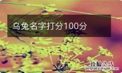 乌兔名字打分100分