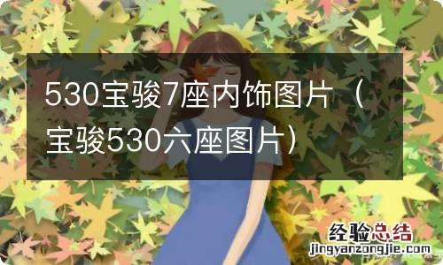 宝骏530六座图片 530宝骏7座内饰图片