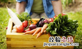 干萝卜丝怎么晒最好 干萝卜丝怎么晒