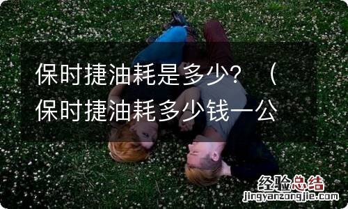 保时捷油耗多少钱一公里 保时捷油耗是多少?