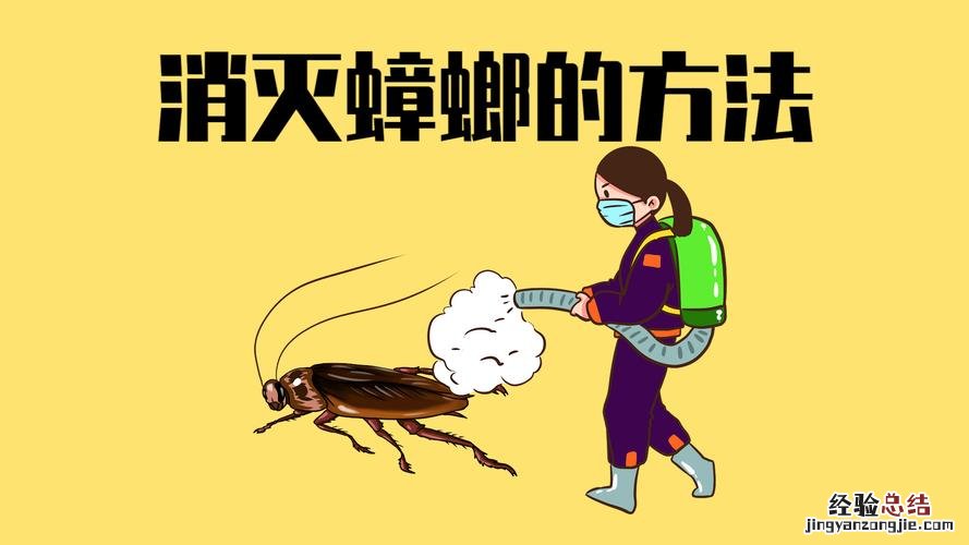 怎么可以把蟑螂彻底消灭干净