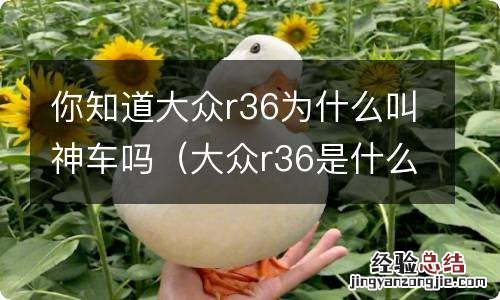 大众r36是什么车型 你知道大众r36为什么叫神车吗