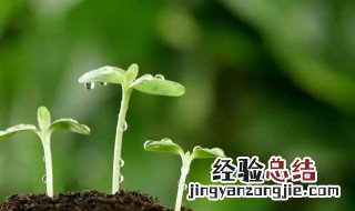 比较激励的话 几句激励的话