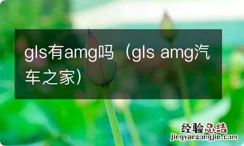 gls amg汽车之家 gls有amg吗