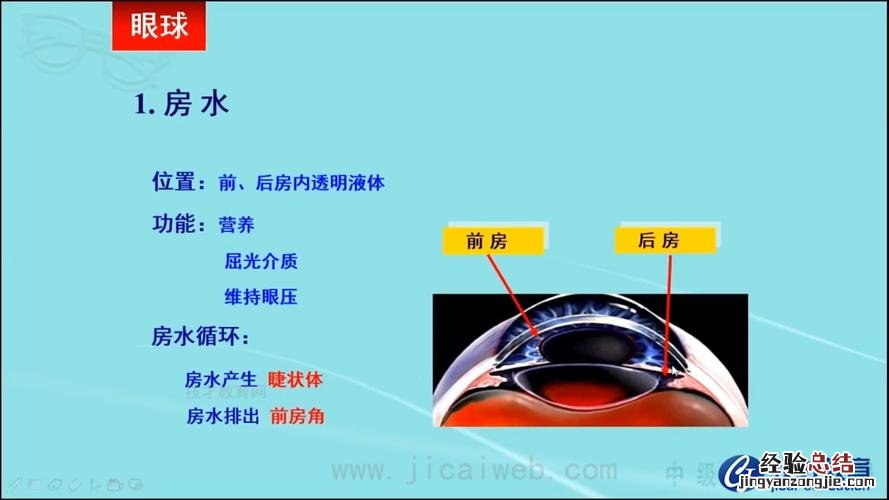 na2o2是离子化合物吗