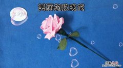 dry皱纹纸玫瑰花的制作