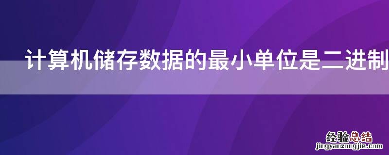 计算机储存数据的最小单位是二进制的什么