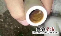 水管青苔去除小妙招有哪些 水管青苔去除小妙招