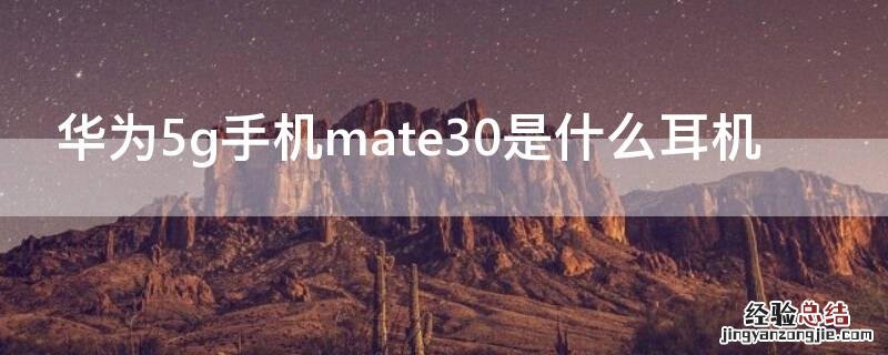 华为5g手机mate30是什么耳机