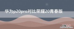 华为p20pro对比荣耀20青春版